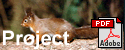 Project Leaflet