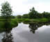 Eskrigg Nature Reserve